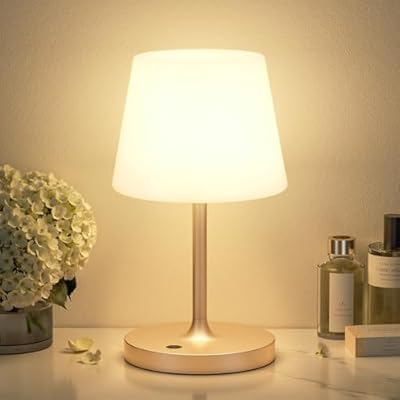 Kakanuo Champagne Gold Shower Lamp Waterproof, Rechargeable Cordless Lamp with 4000mAh Battery, Touch Dimmable Table Lamp for Outdoor, Kitchen, Bathroom, Camping, Patio, IP54