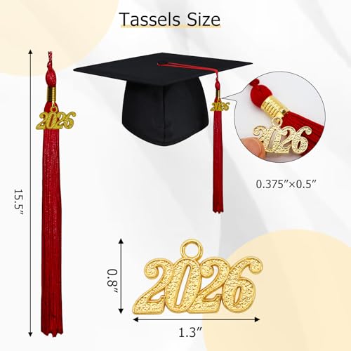 Image of GraduationMall Single&Multiple Color Graduation Tassel with 2026 Year Charm 9 inch