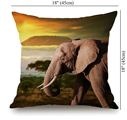 African Elephant On The Prairie Rustic Farmhouse Style Decorative Throw Pillow Cover Cushion Case For Sofa Couch Housewarming Gift Home Decor Cotton Linen 18" X 18" Inch #TOP3