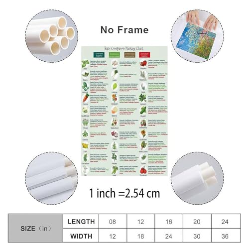 Image of Basic Companion Planting Chart Poster,Garden Planting Types Reference Guide Canvas for Bedroom Living Room Decor 12x18inch(30x45cm) Unframe-style