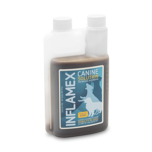 Preisvergleich Produktbild inflamex Hunde-Lösung, 473 ml