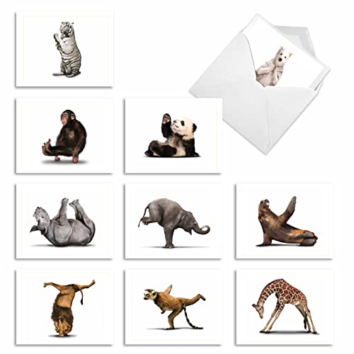 The Best Card Company - 10 Blank Yoga Note Cards (4x 5.12 Inch) - Boxed Notecards with Envelopes, Cute Animal Cards, Zen Assortment - Zoo Yoga M6547OCB