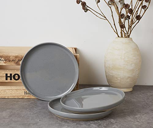 Famiware 4 Pieces Salad Plates Set, 7.5 Inches Dessert Plates, Scratch Resistant, Stoneware Dinnerware, Kitchen Modern Rustic Serving Dishes, Dark Gray #TOP1