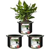 FVOTNW 3-Pack 20 Gallon Grow Bags, Thickened Nonwoven Fabric Pots with Handles,Durable Garden Planters Aeration Gardening Container to for Plants, Vegetables, and Flowers