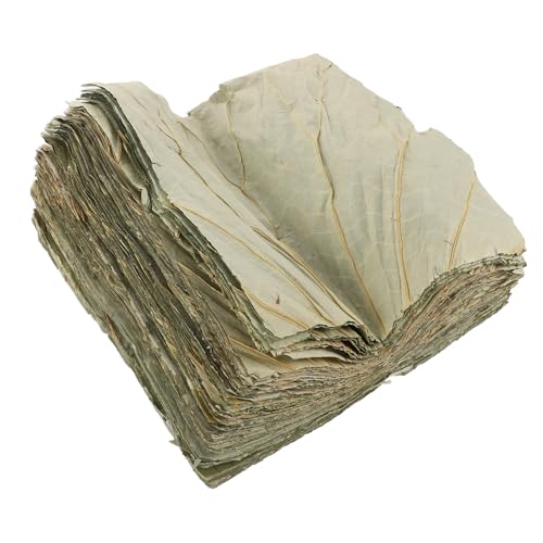 iplusmile 100 @ t i v[g  Hi T[rO Ci[  bv t i  @ Ci[ Hi pbP[W i`