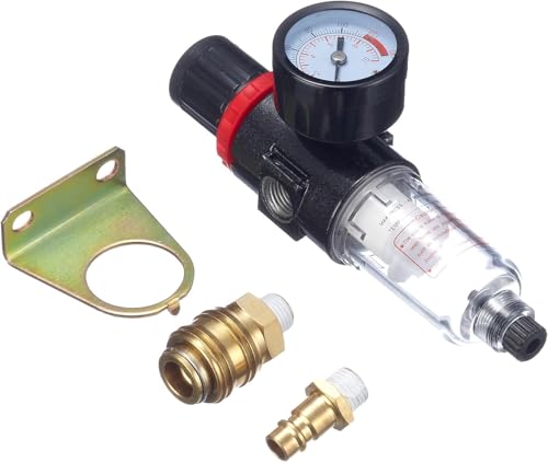 Filtre avec régulateur de pression Einhell filetage R 1/4 robuste - 2