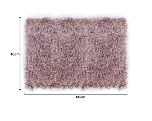 Image of Anti Skid Doormats for Home and Office Entrance Living Room and Bathroom Mats | Entrance Door Mats for Home and Office Entryway. (Solid Mouse, 20x32)