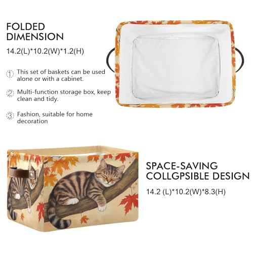 Image of Wamika Fall Cat Kitty Storage Basket with Waterproof Liner and PU Handles Autumn Maple Leaves Storage Bins Boxes 14.2 inch Collapsible Decorative Organizer Baskets for Bedroom Closet Office 1 Pack