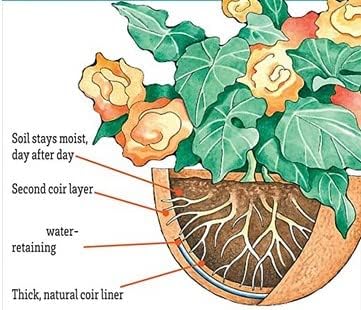 Miniatura 4 de Garden & Home - Cesta de pared de medio círculo de 16 pulgadas, repuesto de revestimiento de coco, paquete de 2 cestas de repuesto de fibra de coco