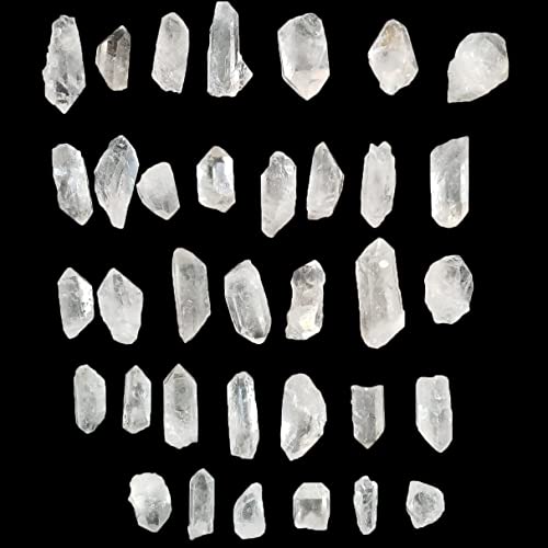 AMOYSTONE 1Lb Bulk Clear Quartz Crystal Points in Box Raw White Quartz Crystals Rough Stones Natural Clear Quartz Cluster for Home Decor