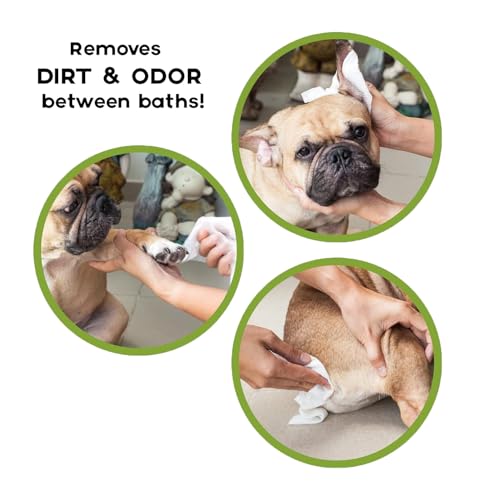 Image of Cature Care by Nature Biodegradable Pet Wipes - Aloe Vera & Neem, Gentle & Effective Cleaning for Pets (100 Wipes)