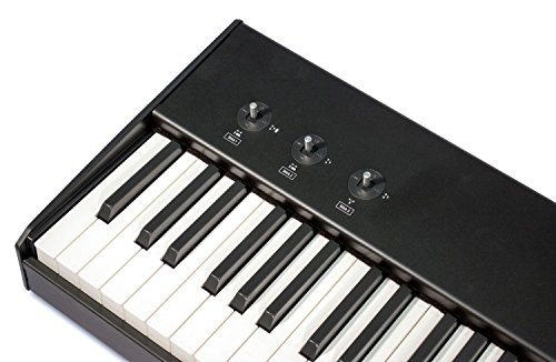 Keyboard mit 88 Tasten Studiologic SL88 Studio
