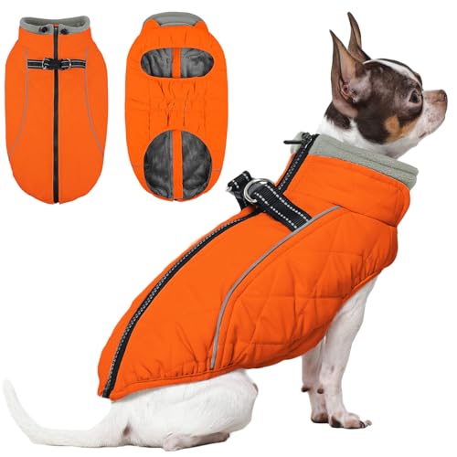 QBLEEV manteau chien petit polaire hiver imperméable orange XS