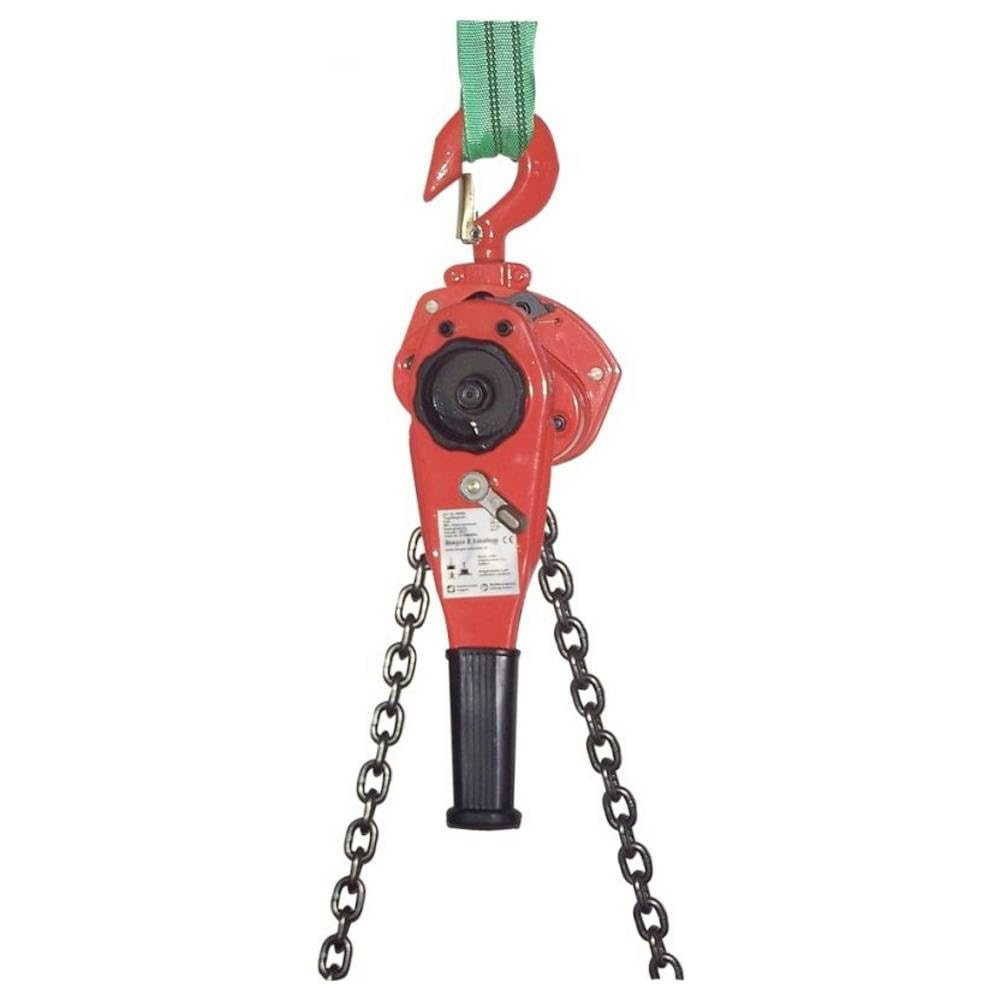 Berger + Schröter 60589 Doppia Cricchetto paranco 1000 kg GS