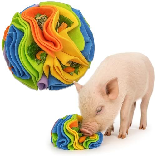 Snuffle Ball for Pigs