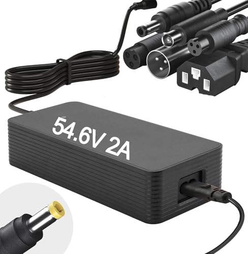 54.6V 2A Electric Charger for 48V Ebike Lithium Battery (13S