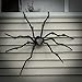 PREXTEX Halloween Spider/Tarantula with Red Eyes for Halloween Haunt Décor