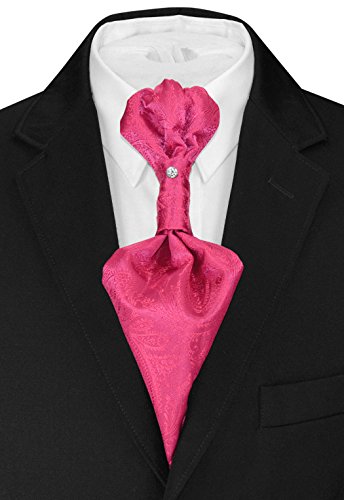 Image of Vesuvio Napoli PreTied ASCOT Solid PAISLEY Color Cravat Men's Neck Tie 21 Colors