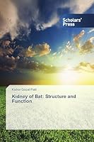 Kidney of Bat: Structure and Function 3639859677 Book Cover