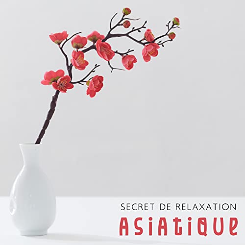 Secret de relaxation asiatique – Musique new age extrême-orientale tout droit sortie du jardin japonais
