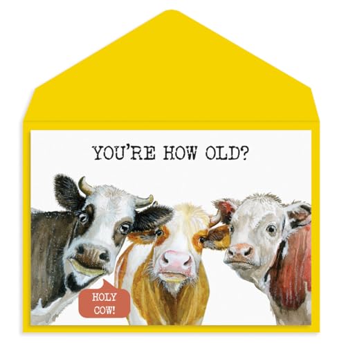 Graphique Cows Birthday Card, Family and Friends, Color-Coordinated Envelope, 5" x 7"