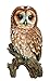 Produktbild Vivid Arts  Plant Pals Tawny Owl Haus- oder Gartendekoration PLP-107