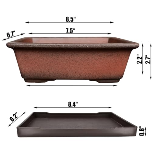 MUZHI Decorative Ceramic Bonsai Planter Pot 8.5 Inch with Tray, Breathable Unglazed Rectangle Terracotta Clay Pot for Tree Succulent Cactus Indoor Outdoor Red Brown