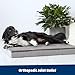 Barkbox Orthopedic Dog Bed with Memory Foam, Premium Comfort for Dogs and Puppies, Dog Bed for Joint Relief and Restful Sleep, Durable and Easy to Clean - Grey, Small