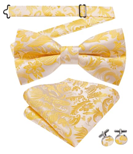 Image of Dubulle Mens Paisley Striped Bowtie Set Pre-tied Bowtie for Men and Pocket Square Set Wedding Business