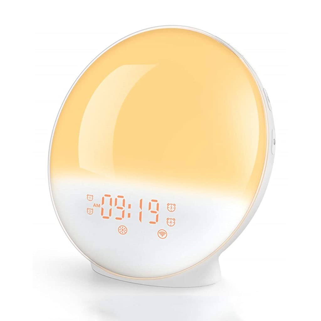 2 Pz Wake Up Light, Sveglia, con Simulazione Alba/Tramonto, Doppio Allarme e Funzione Snooze, 7 Suoni Naturali e Radio FM, Ideale per Regalo