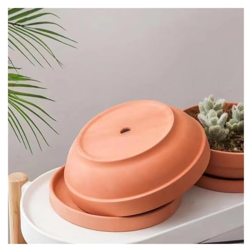 Eviter l'excès d'eau avec le pot succulent plat terre cuite Yofab
