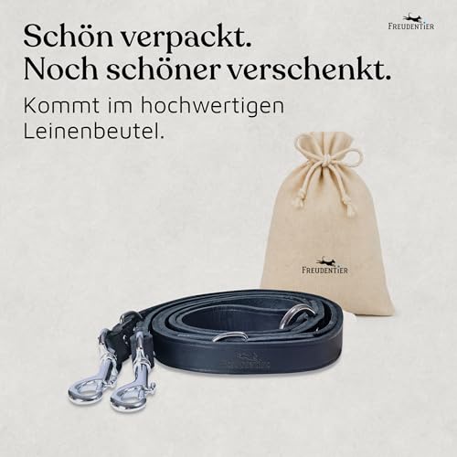 FREUDENTIER Hundeleine Leder 2m - Lederleine verstellbar - Führleine aus Fettleder für kleine, mittelgroße & große Hunde - Alsterufer Kollektion (Midnight, 16mm breit)