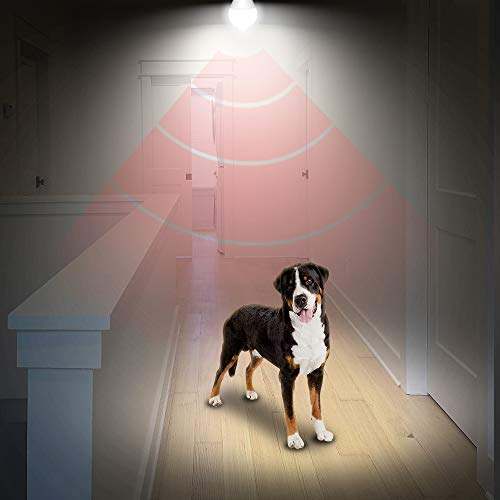 Ameritop Motion Sensor Light Bulb- 2 Pack, 10W(60W Equivalent) 806Lm Motion Activated Dusk To Dawn Security Led Bulb; Ul Listed, A19, E26, Auto On/Off Indoor Outdoor Lighting (5000K Daylight) #TOP5