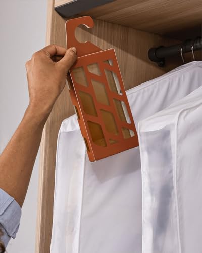 Hayden Hill Moth Traps for Clothes & Closets - 3-Pack - Refillable and Odor-Free Moth Monitoring - Moth Pheromones for Clothing Protection