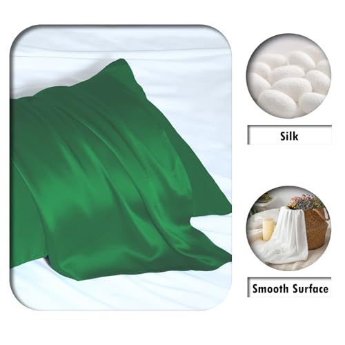Mulberry Silk Pillow Cases Standard Size Silk Pillowcase with Zipper Soft Breathable Smooth Cooling Satin Silk Pillow Covers for Sleeping for Hair and Skin (Olive Green,20"X 26",1Pcs)