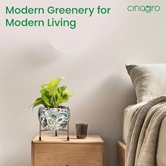 CINAGRO Metal Flower Vase Planter Pot with Iron Stand, Pots for Plants, Plant Pots for Home Decoration, Succulent Pot, Indoor Planter Garden Decor Style: Sunlit Symphony