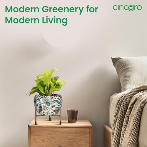 CINAGRO Metal Flower Vase Planter Pot with Iron Stand, Pots for Plants, Plant Pots for Home Decoration, Succulent Pot, Indoor Planter Garden Decor Style: Sunlit Symphony