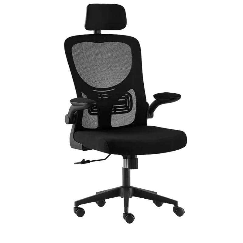 Requena Ergonomic Mesh Chair with Headrest, Flip-up Armrest and Lumbar Support, Adjustable Height...