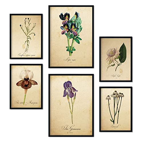 Nacnic Set de 6 posters de Flores vintage. Colección de láminas con estética collage para la decoración de interiores. Tamaños A3 y A4. Sin marco.