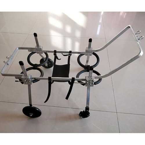Adjustable Dog Front Legs Wheelchair & Stroller - Supports Mobility for Dogs with Front Leg or Hip Issues, Lightweight & Durable Pet Mobility Aid