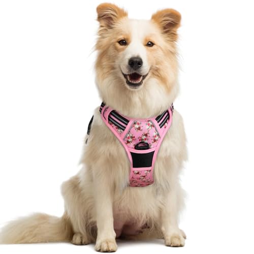 Image of rabbitgoo Dog Harness No Pull with 2 Leash Clips, Adjustable Soft Padded, Reflective Oxford No Choke Pet Vest with Easy Control Handle for Medium Sized Dogs, Pink Rose, M