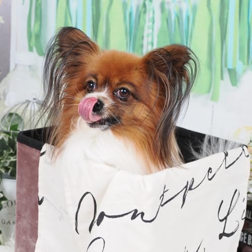 Bonding with your dog