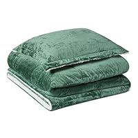 Amazon Basics Reversible Sherpa Comforter Set with Pillow Sham, Green, Twin/Twin XL