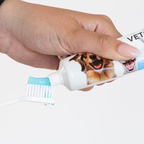 Vetocanis Bio00068 Zahnpflegeset für Hunde, mit Zahnbürste, Zahnpasta und Massagebürste, Geschmack Biscuit, 1 stück (1er Pack)