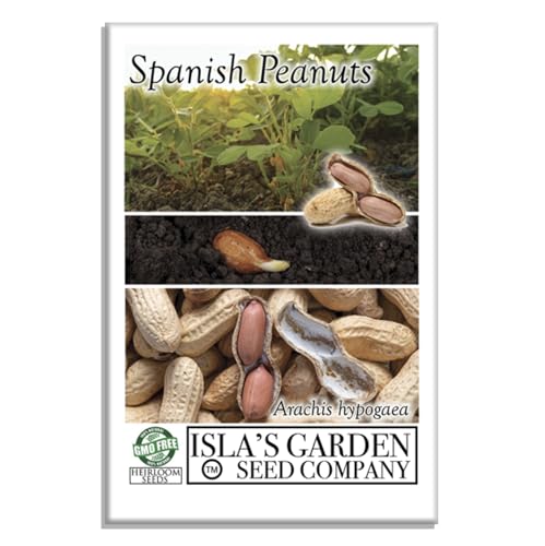 Spanish Peanut Seeds (Arachis hypogaea) 20 Non-GMO Heirloom by Islas Garden Seeds Early-Maturing Variety with Bold Flavor Great for Roasting Snacking & Home Garden Growing
