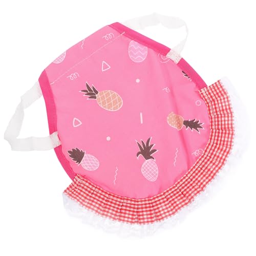 BESTonZON {p y |GXe {ThGv Lkoht \ HیxXg  ėp\ nhCh {pߑ