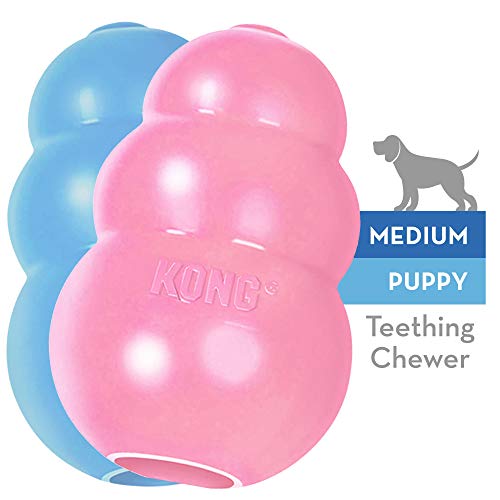 KONG KP24 Puppy Toy - Natural Teething Rubber - Fun to Chew, Chase