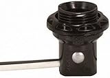 Satco 90-1556 - Phenolic Candelabra Socket with 1.25 in. Shoulder and Ring - 8 in. Wire Leads