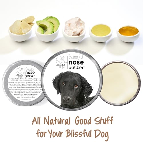 Image of The Blissful Dog Curly-Coat Retriever Unscented Nose Butter, 2-Ounce