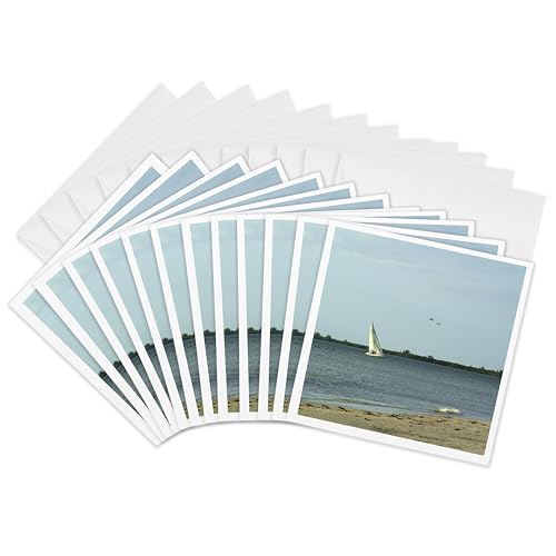 Cartes de voeux voilier et oiseaux paysage marin pour correspondances poétiques